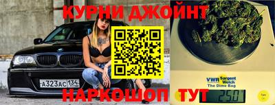 индика Заводоуковск