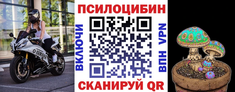 цена наркотик  Солнечногорск  блэк спрут ссылка  Галлюциногенные грибы Psilocybe 