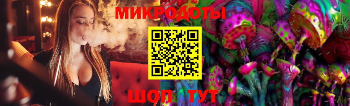 Псилоцибиновые грибы Psilocybe  Солнечногорск 