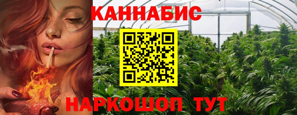 Бошки марихуана конопля  Шишки марихуана OG Kush  Бошки Шишки SATIVA & INDICA  Солнечногорск 
