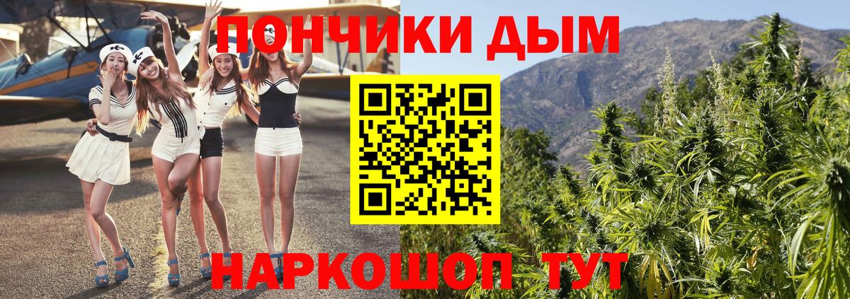 Бошки Шишки сатива Солнечногорск